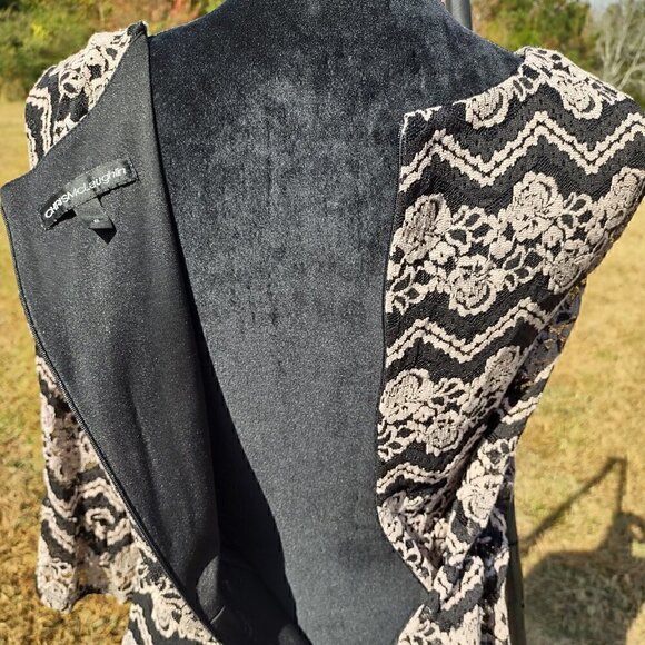 Chris McLaughlin Black & Taupe Lace Dress, Lined, Size 6. - Picture 5 of 8